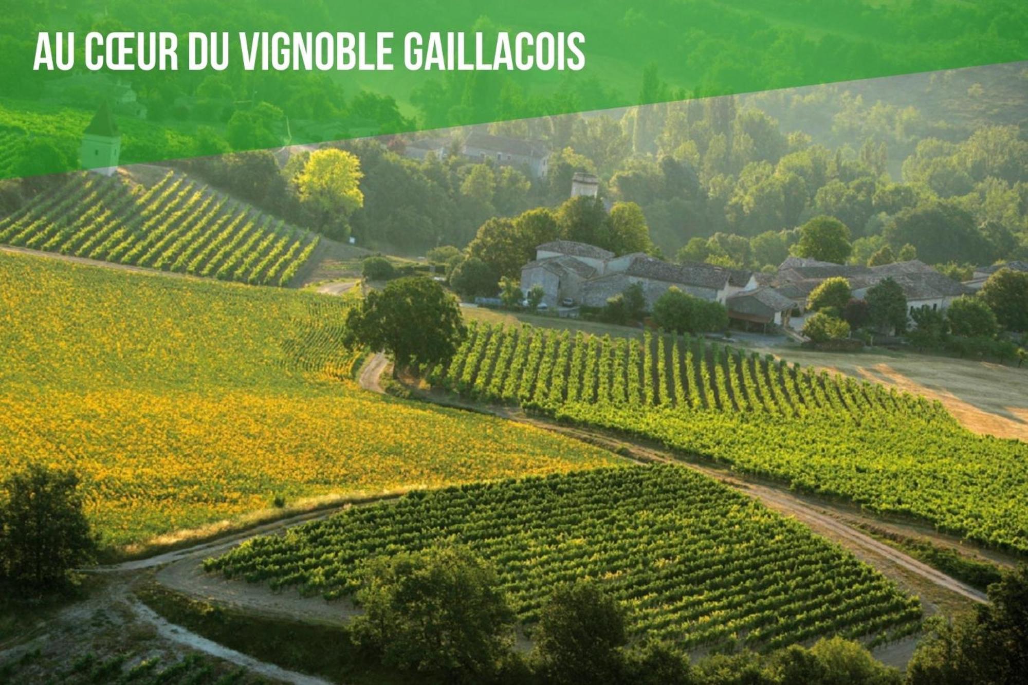 Le Cottage Nature Vigne Rouge Sauna Gaillac Entre Albi-Toulouse & Les Cottages Du Tarn Brens  エクステリア 写真