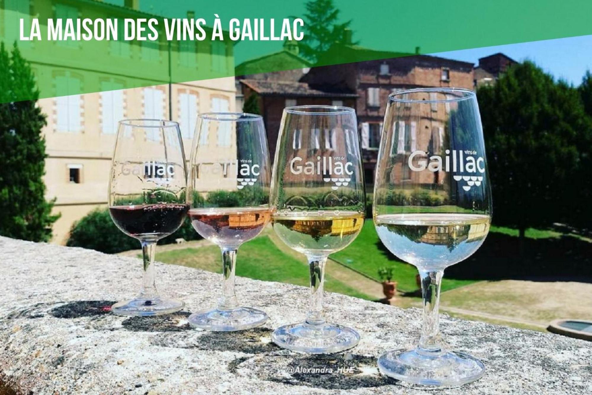Le Cottage Nature Vigne Rouge Sauna Gaillac Entre Albi-Toulouse & Les Cottages Du Tarn Brens  エクステリア 写真