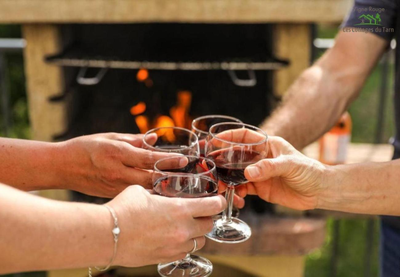 Le Cottage Nature Vigne Rouge Sauna Gaillac Entre Albi-Toulouse & Les Cottages Du Tarn Brens  エクステリア 写真